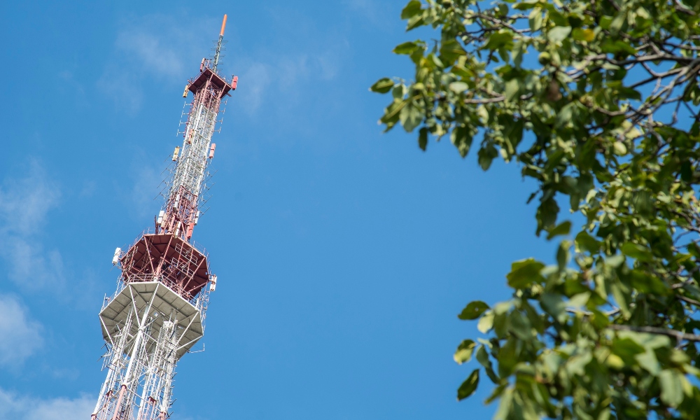 Шадаев анонсировал научные исследования по разработке 6G в России
